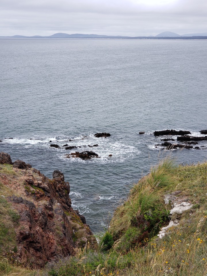 sea