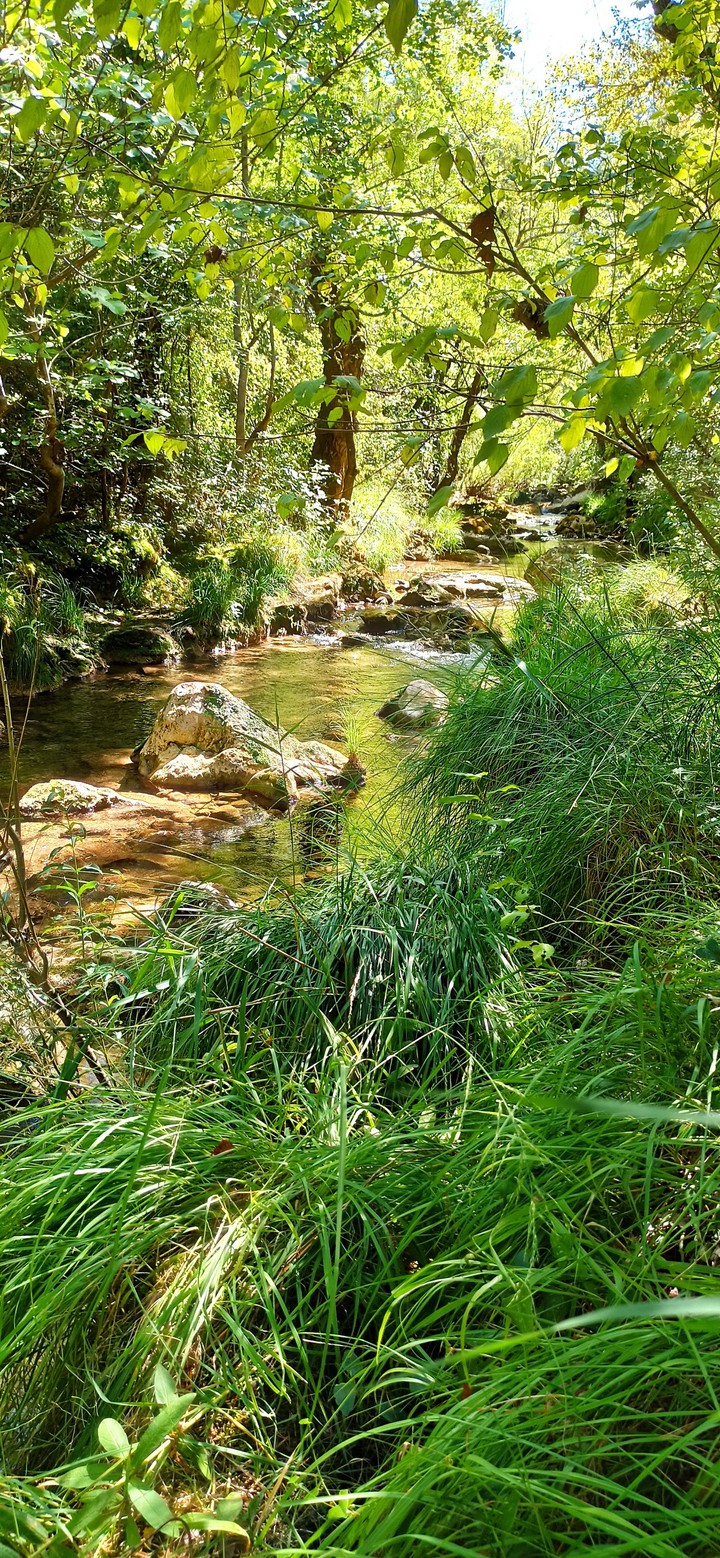 La vie au vert