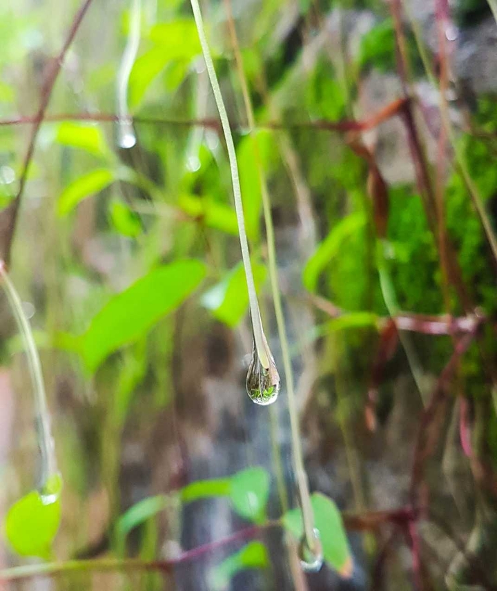 rain...