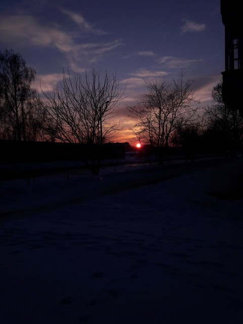 perfect day