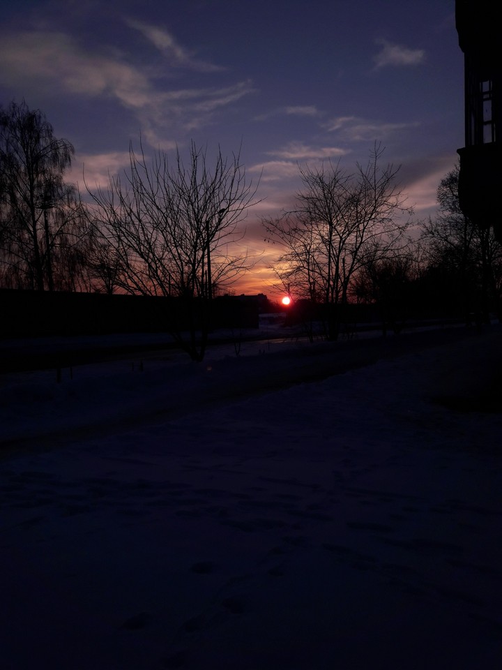 perfect day