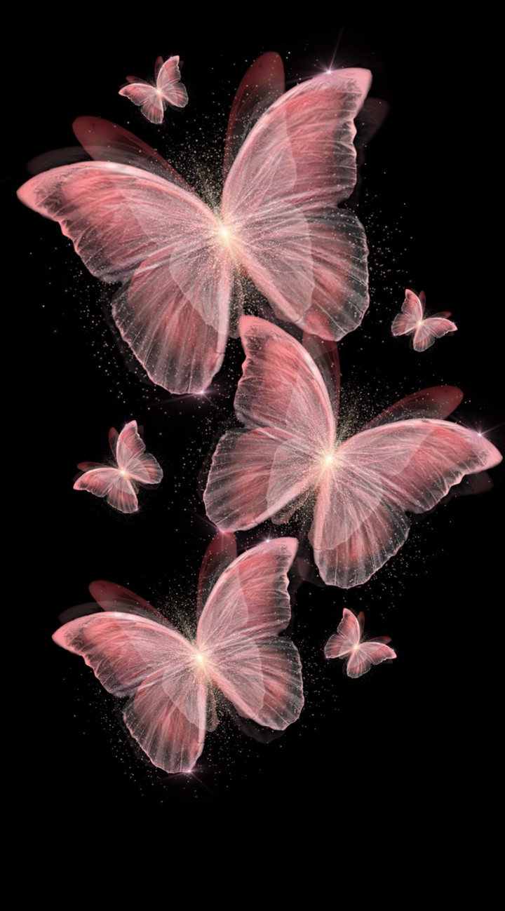 Butterflies