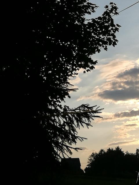 tree