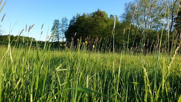 Summer