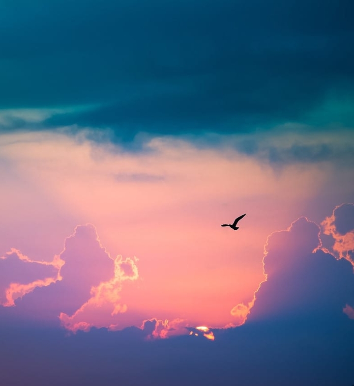 Flight
