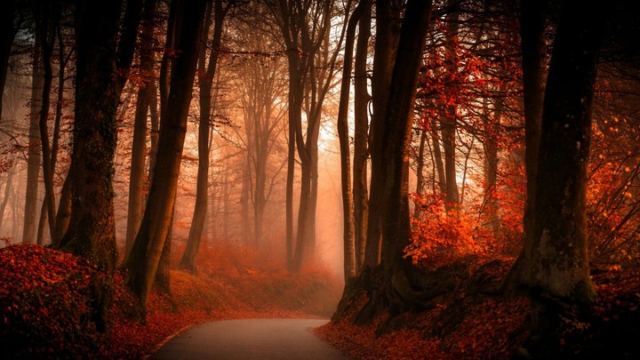 AUTUMN