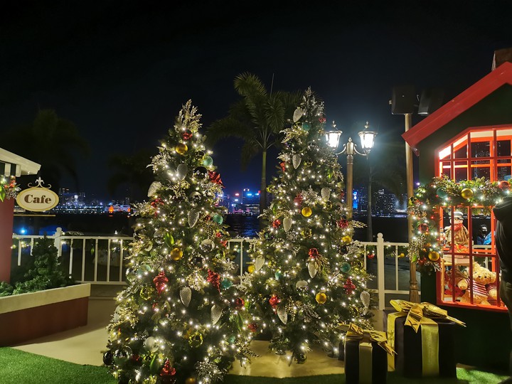 oh Christmas Tree oh Christmas tree