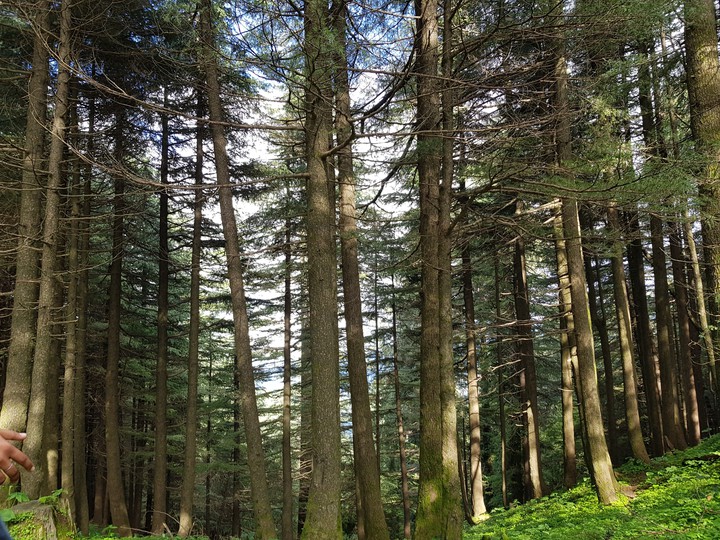 khajjiar