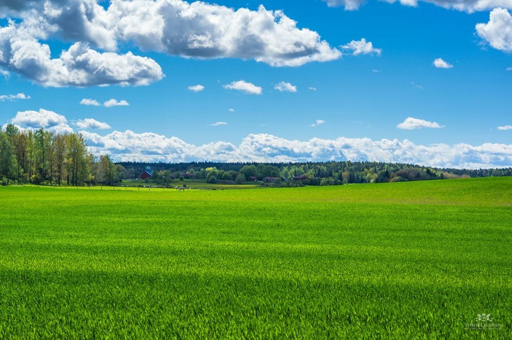 blue sky