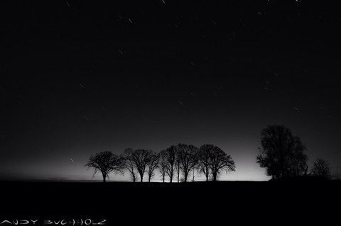 Black Trees