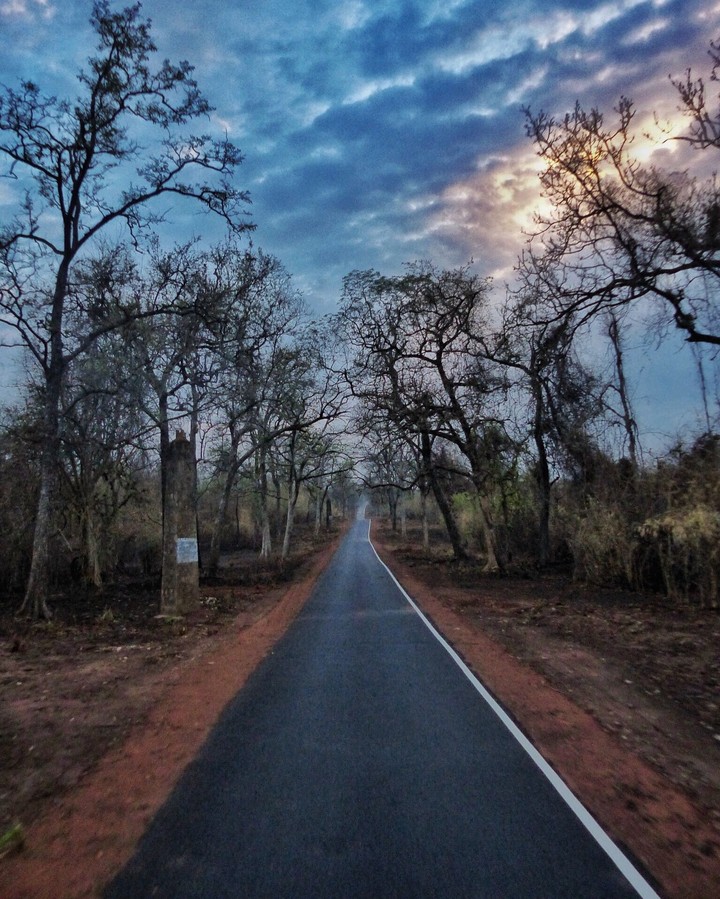 Tadoba National Park
