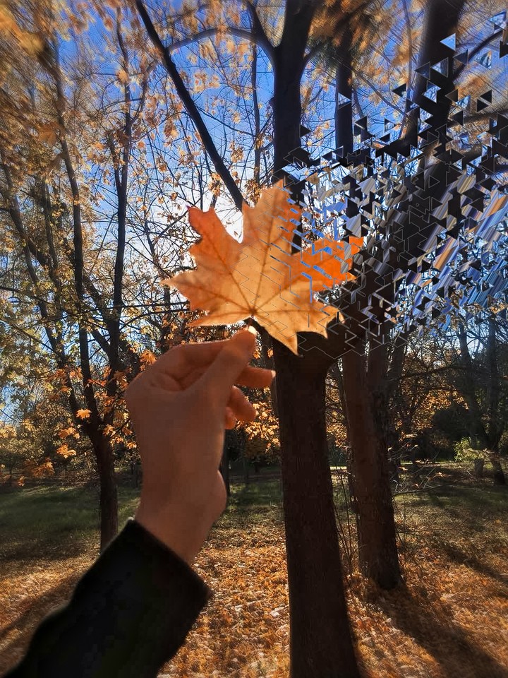 осень