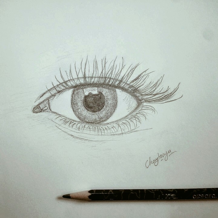 Eye 