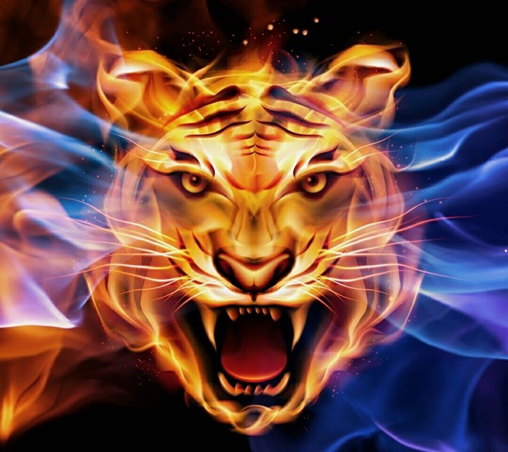 animal