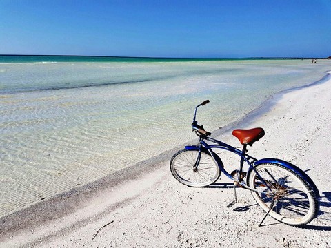 #Sea #bike #water #sand #mar #bicicleta #arena