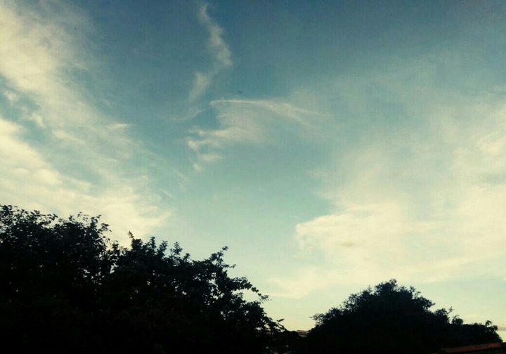 •
