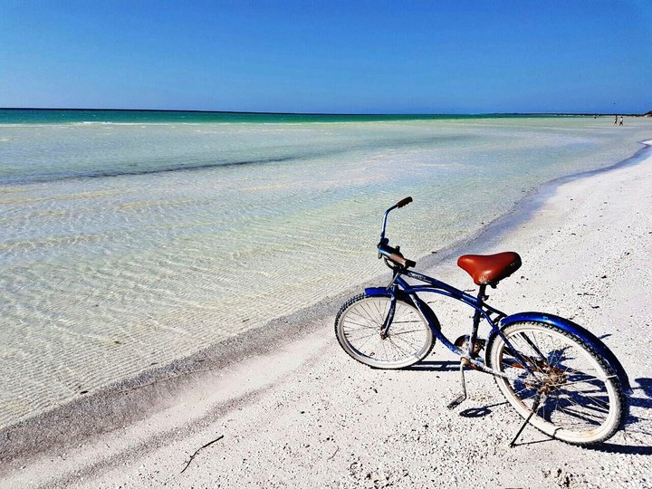 #Sea #bike #water #sand #mar #bicicleta #arena