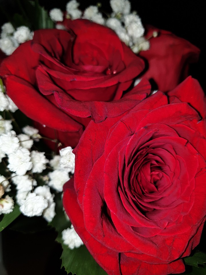 we are together ?? rose