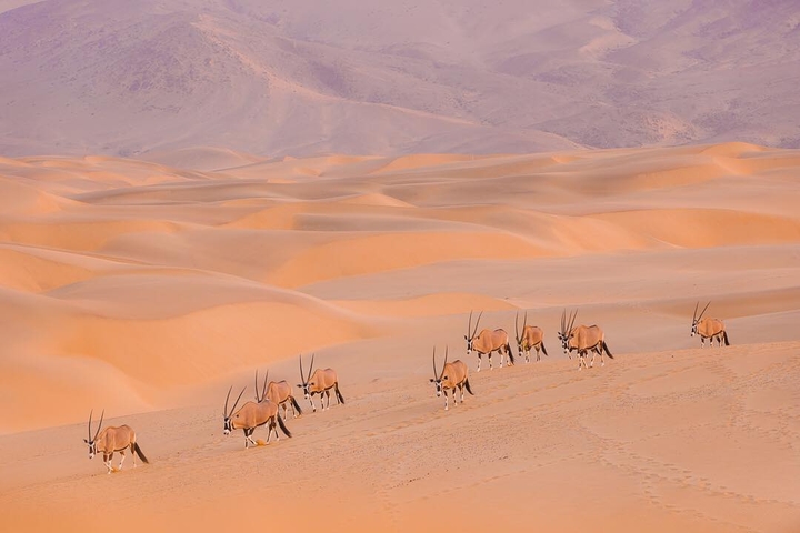 desert