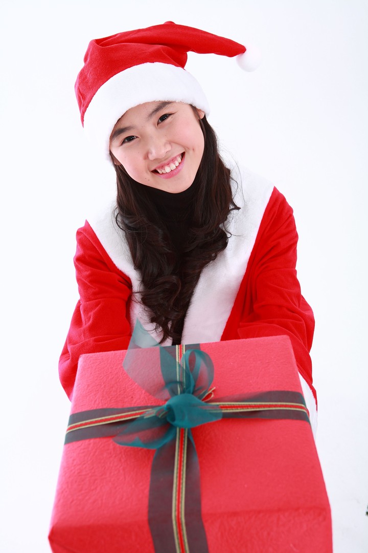 Christmas Costume