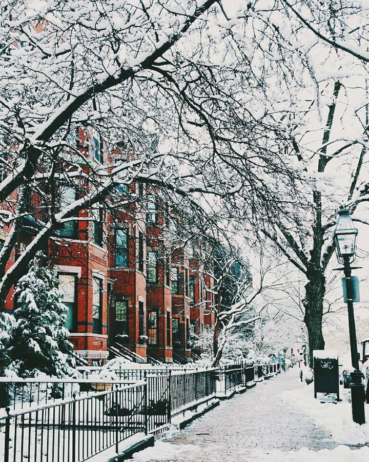Beautiful street