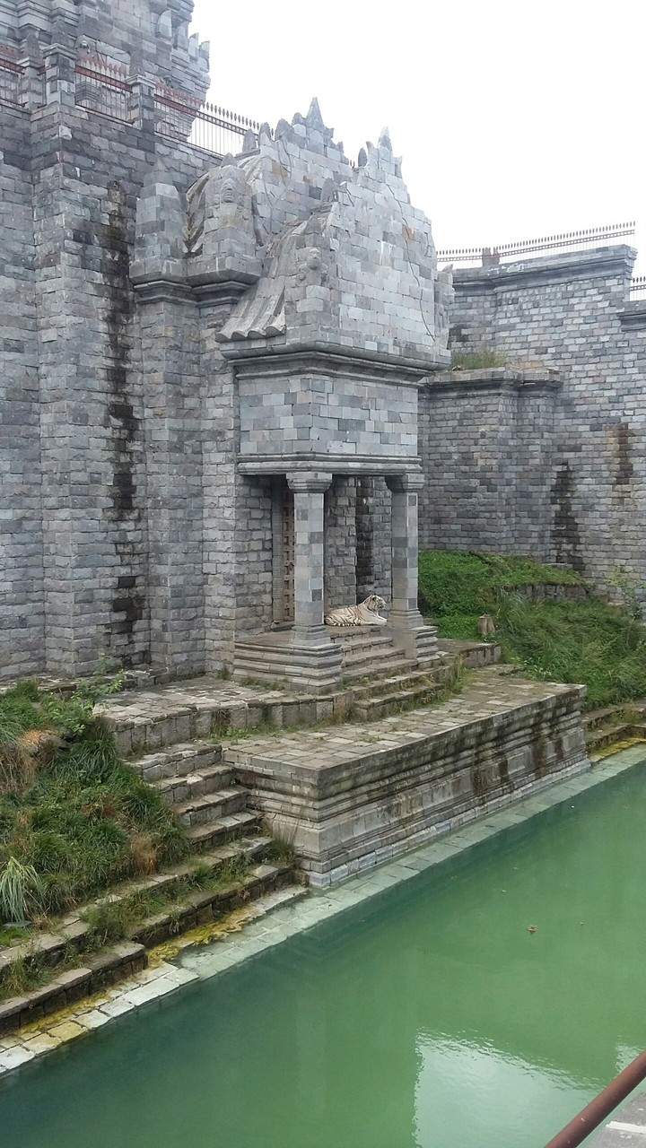 pairi daiza
