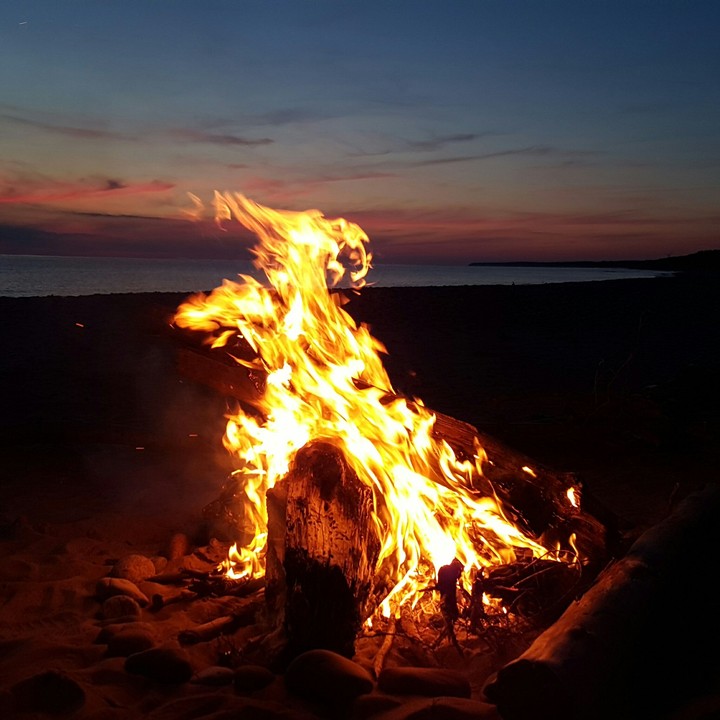 Fire dragon