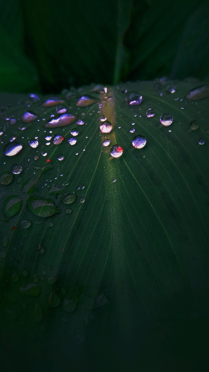 water drops