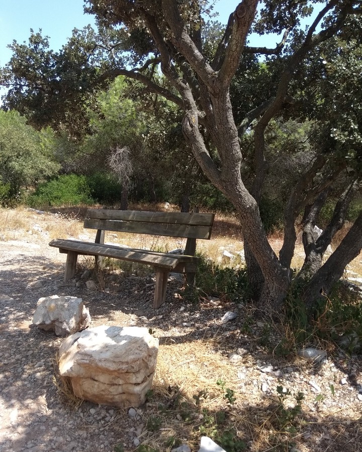 Paysage sympa
