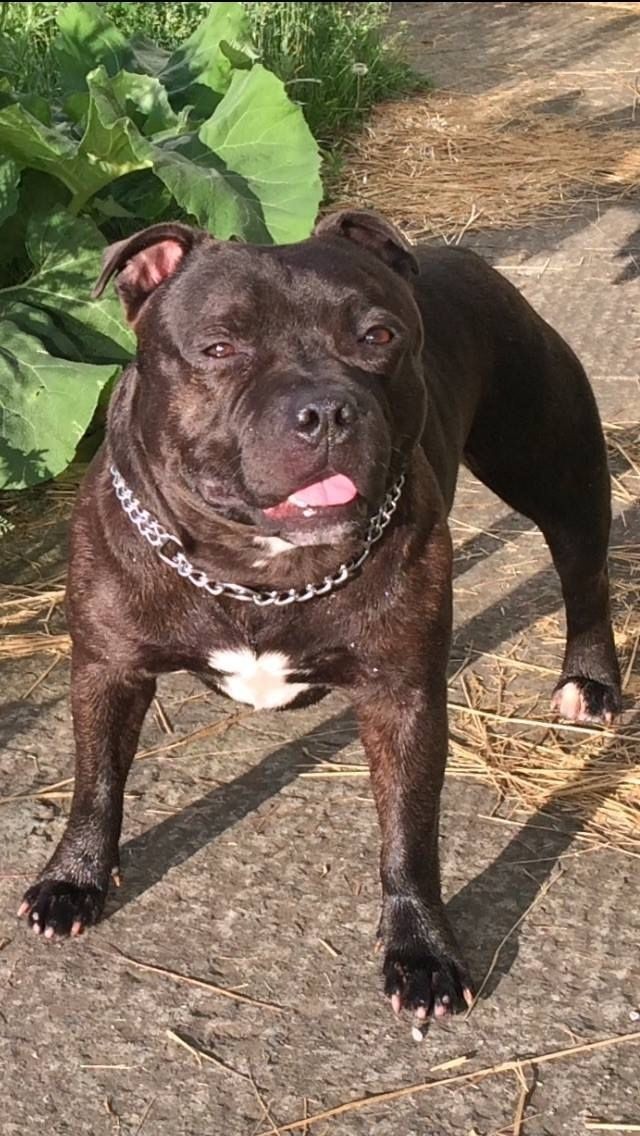 ♥️♥️♥️