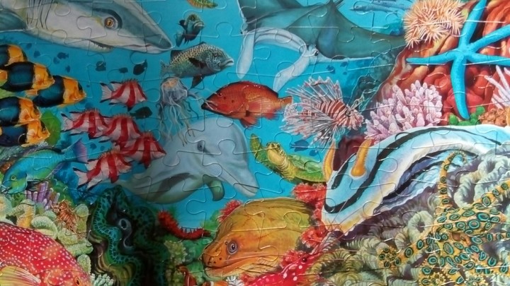 under the sea