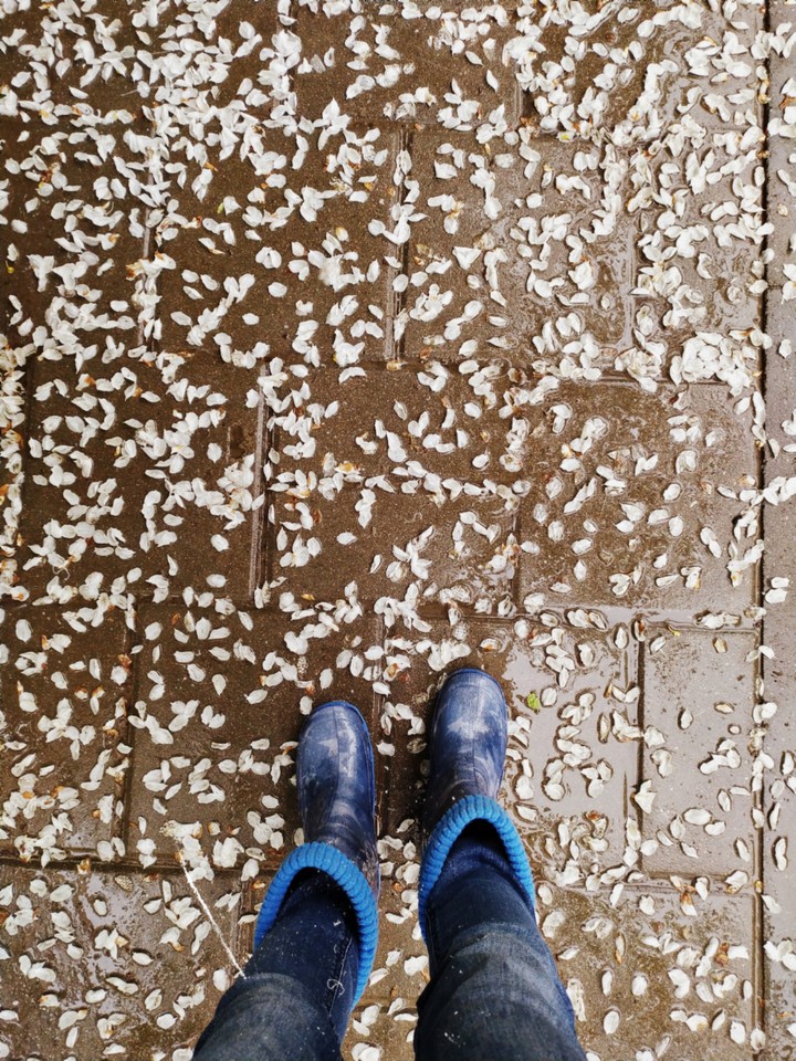 rain