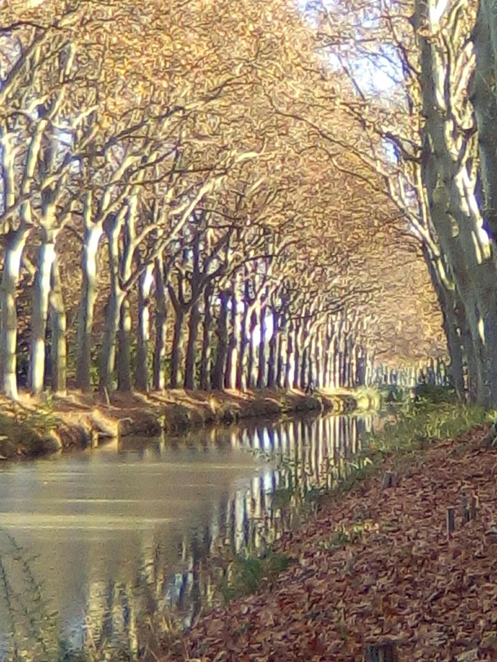 canal du midi