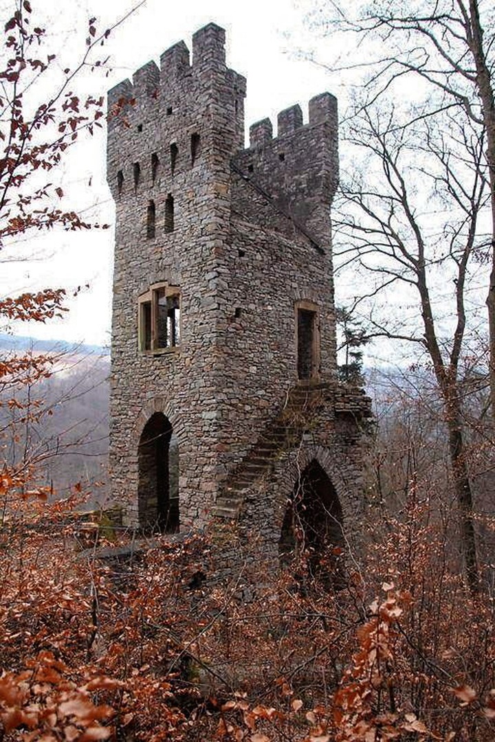 Ruined Karlsburg Castle, Germany. ♐