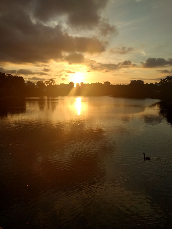Ibirapuera park