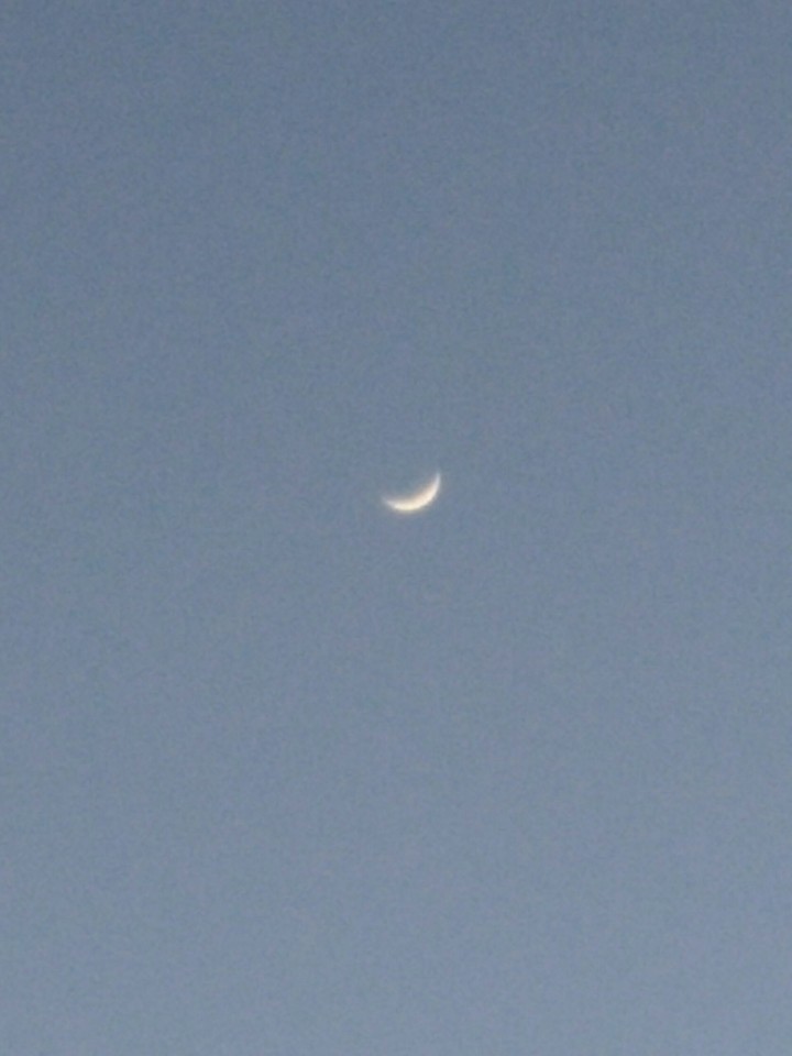 달