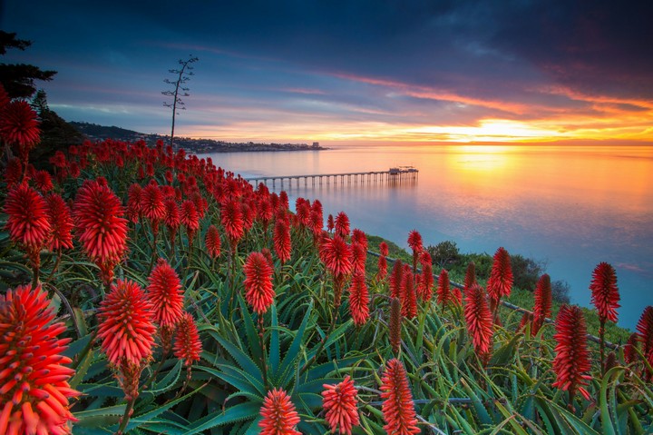 San Diego, USA