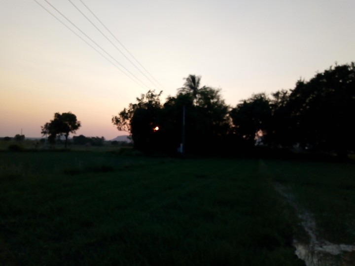 Beautiful evening