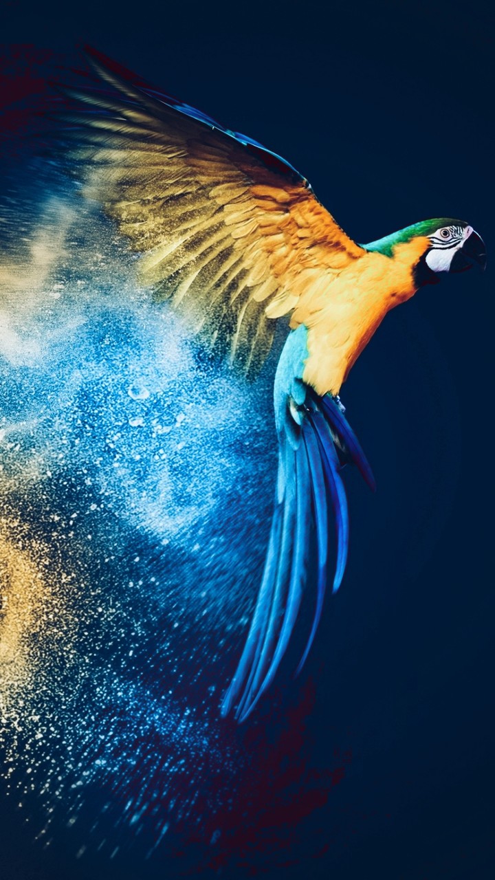 Parrot OS