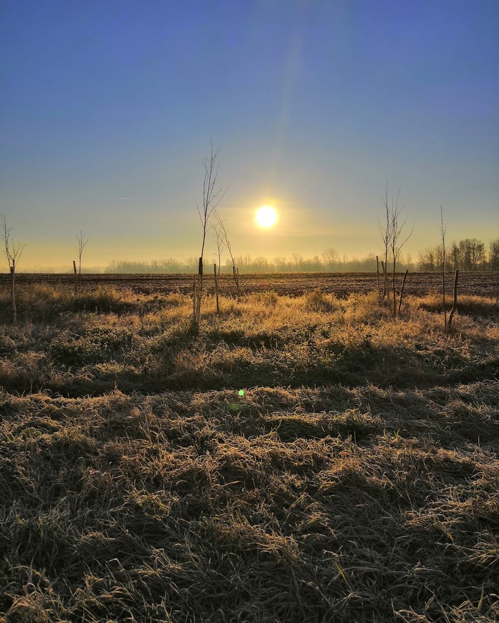 frost and sun