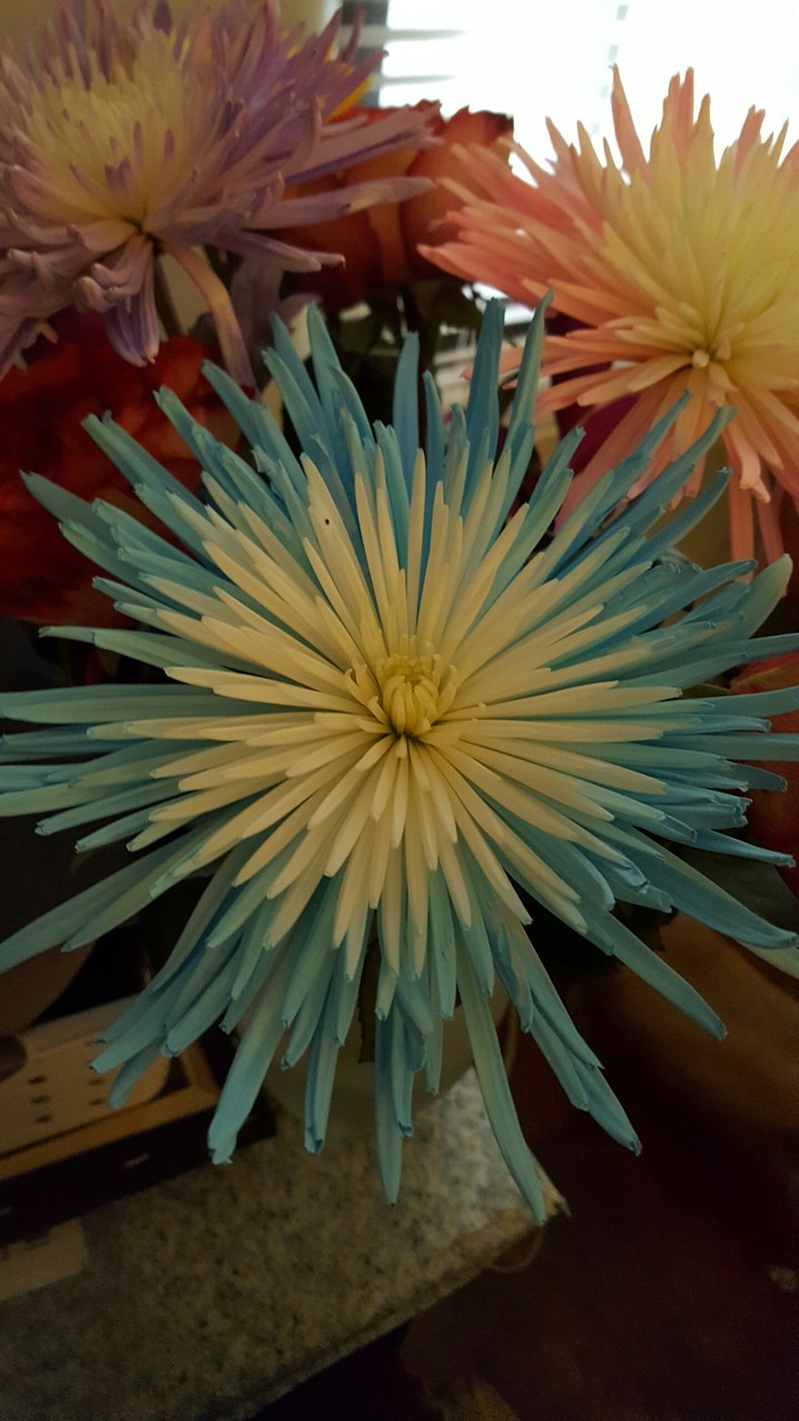 bouquet flower