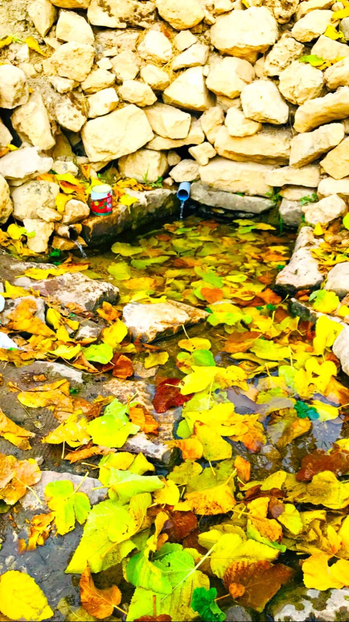 kurdistan