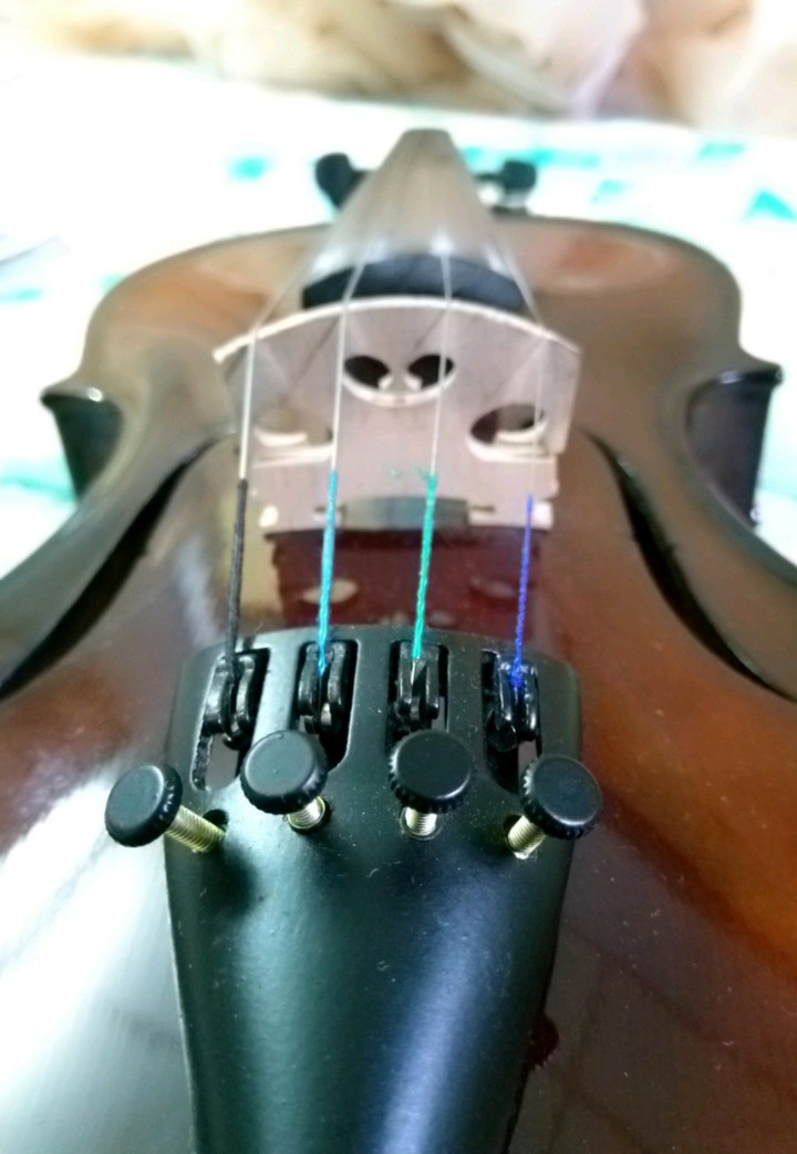 violin