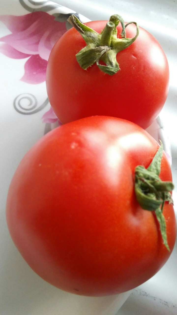 fruit or vegetable