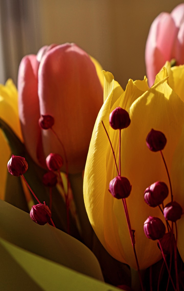 flowers