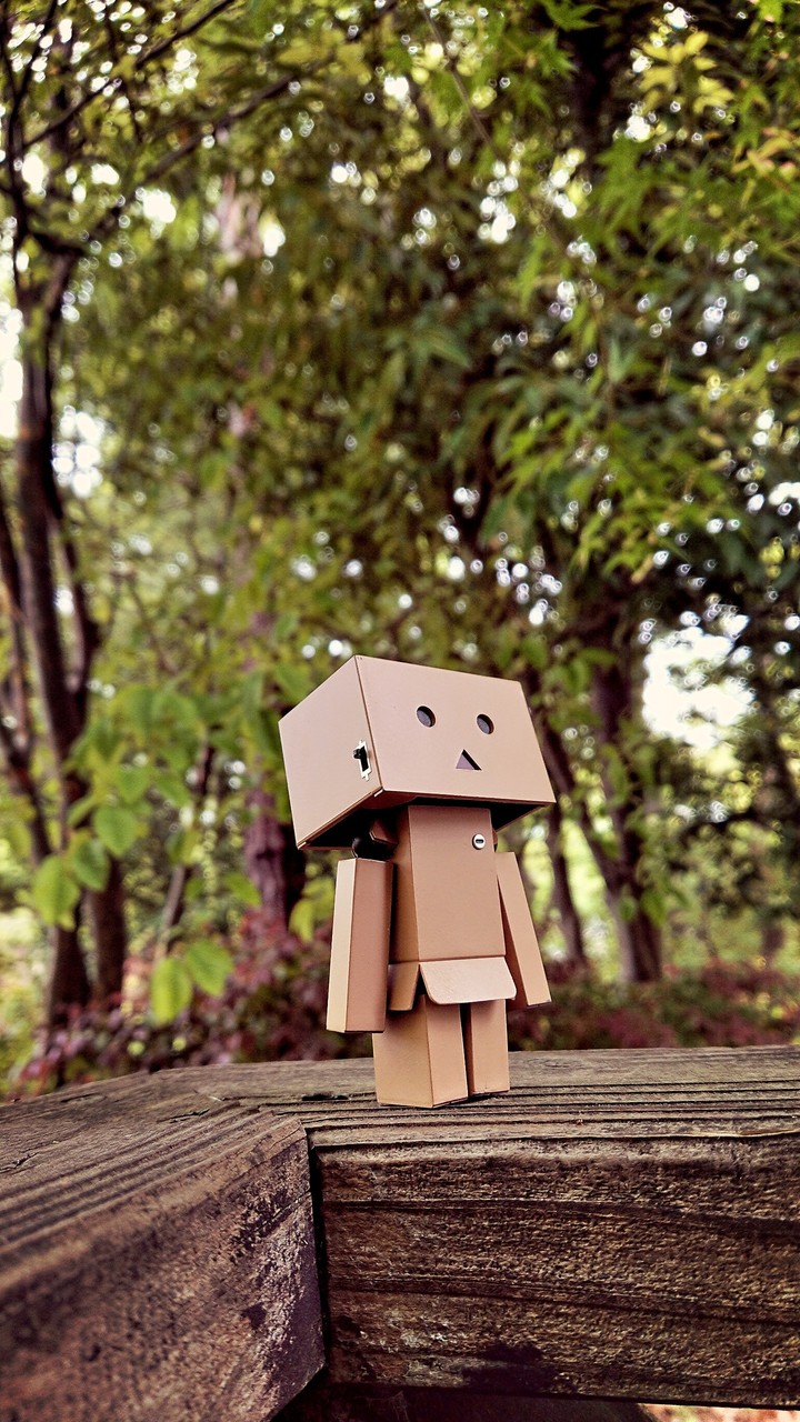 DANBOARD