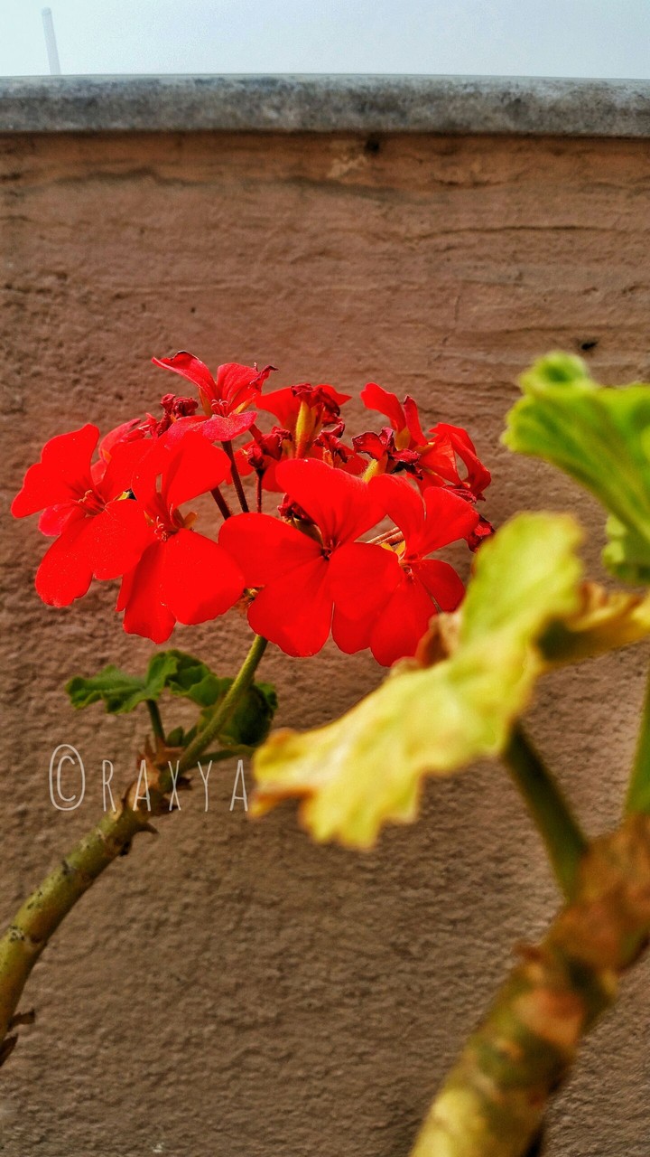 spring is on the way 