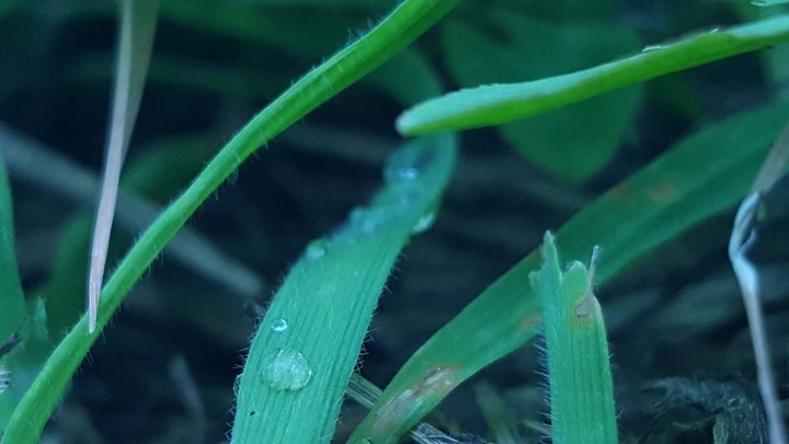 drop of water