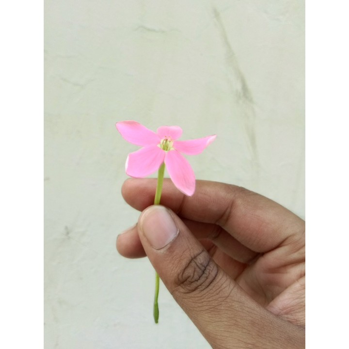 flower power