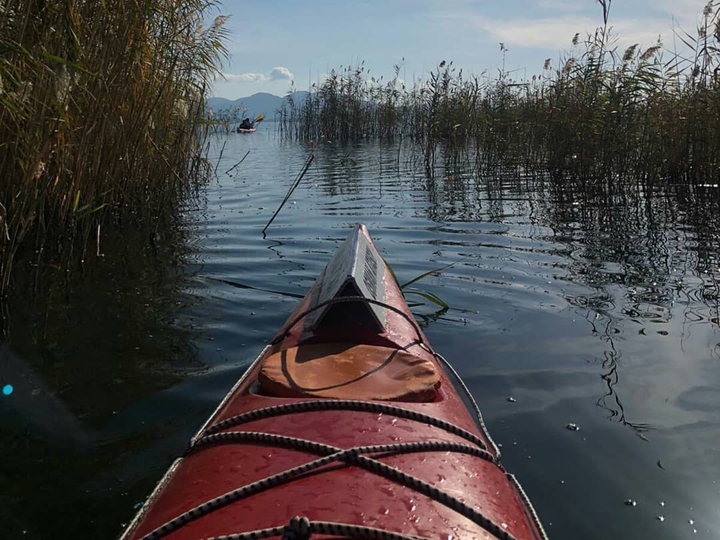 Canoe Love